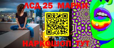 эйфоретик Кимры