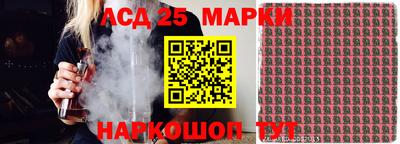 крисы Кинель