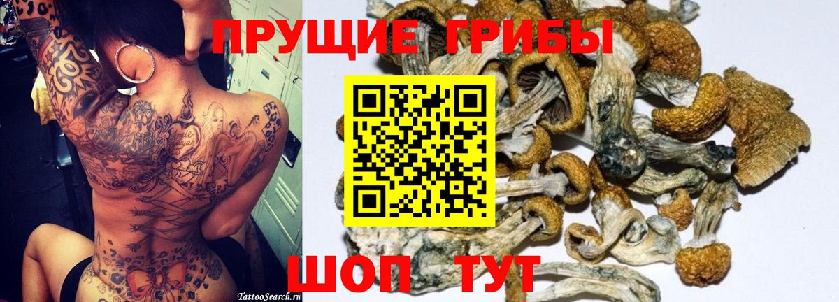 Галлюциногенные грибы GOLDEN TEACHER  цена наркотик  Екатеринбург  Вход с VPN 